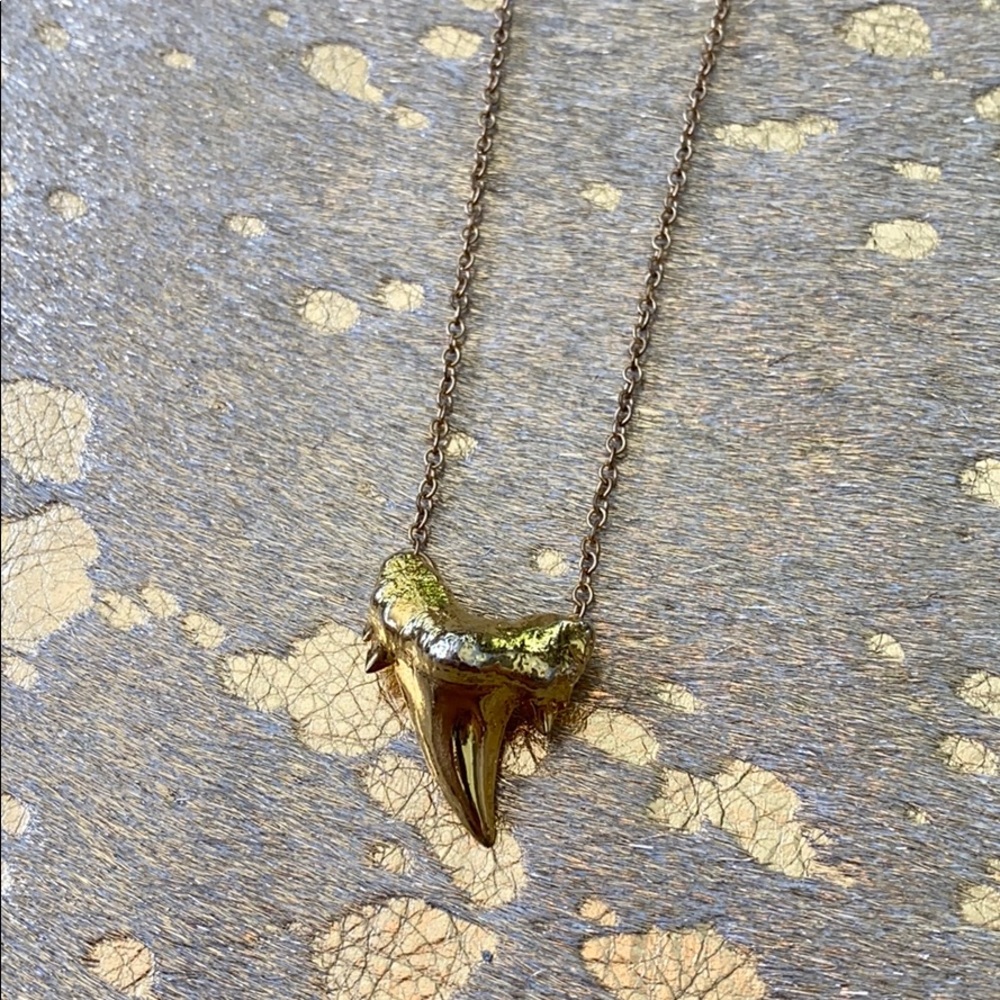 Gold Shark Tooth Necklace